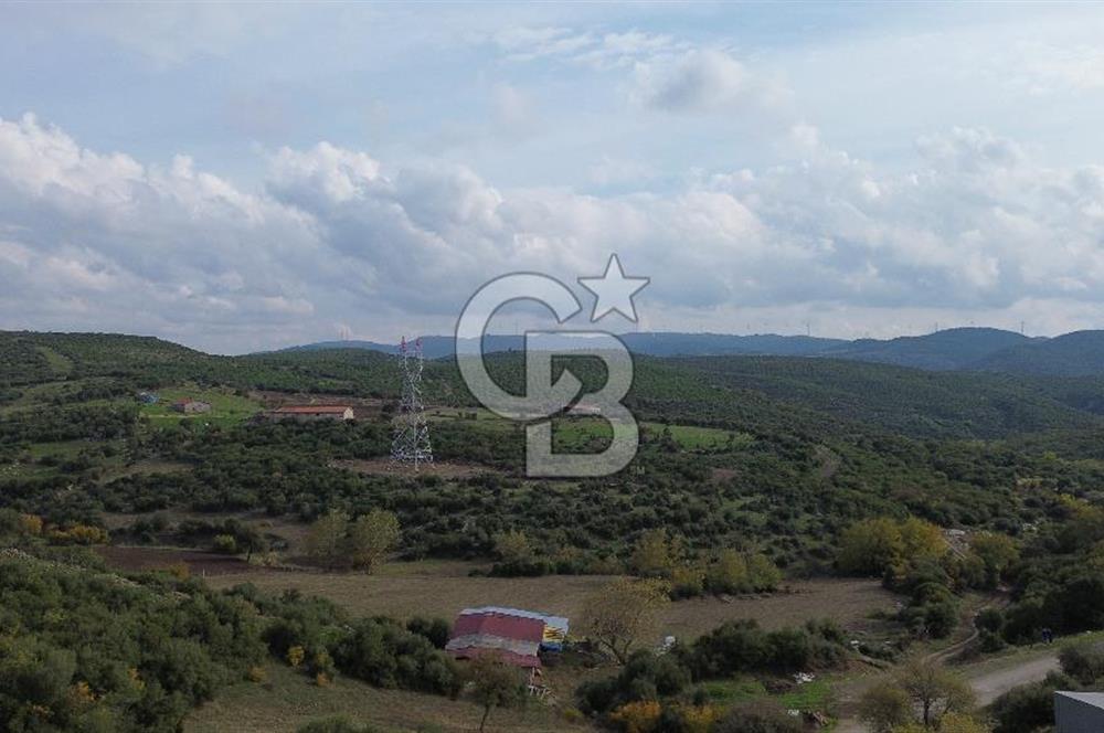 ÇANAKKALE LAPSEKİ ŞAHİNLİ KÖYÜNDE SATILIK TARLA