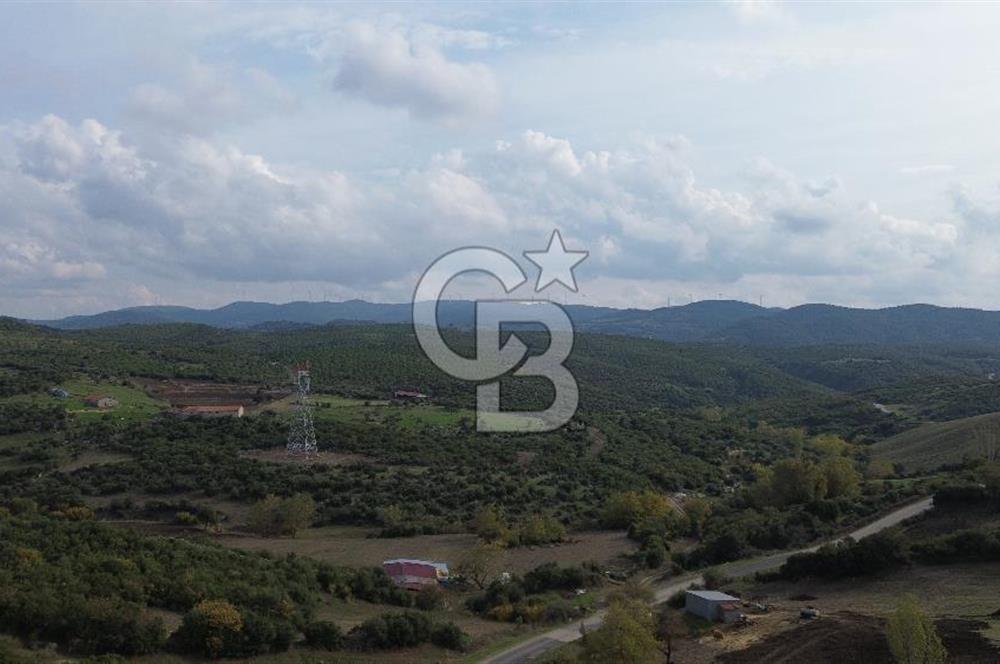 ÇANAKKALE LAPSEKİ ŞAHİNLİ KÖYÜNDE SATILIK TARLA