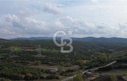 ÇANAKKALE LAPSEKİ ŞAHİNLİ KÖYÜNDE SATILIK TARLA