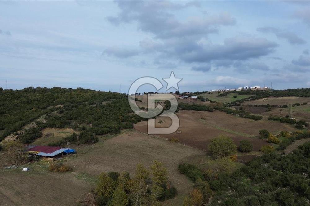ÇANAKKALE LAPSEKİ ŞAHİNLİ KÖYÜNDE SATILIK TARLA