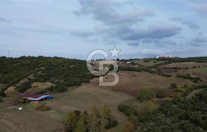 ÇANAKKALE LAPSEKİ ŞAHİNLİ KÖYÜNDE SATILIK TARLA