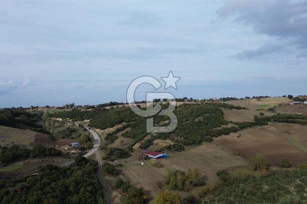 ÇANAKKALE LAPSEKİ ŞAHİNLİ KÖYÜNDE SATILIK TARLA