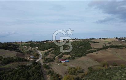 ÇANAKKALE LAPSEKİ ŞAHİNLİ KÖYÜNDE SATILIK TARLA