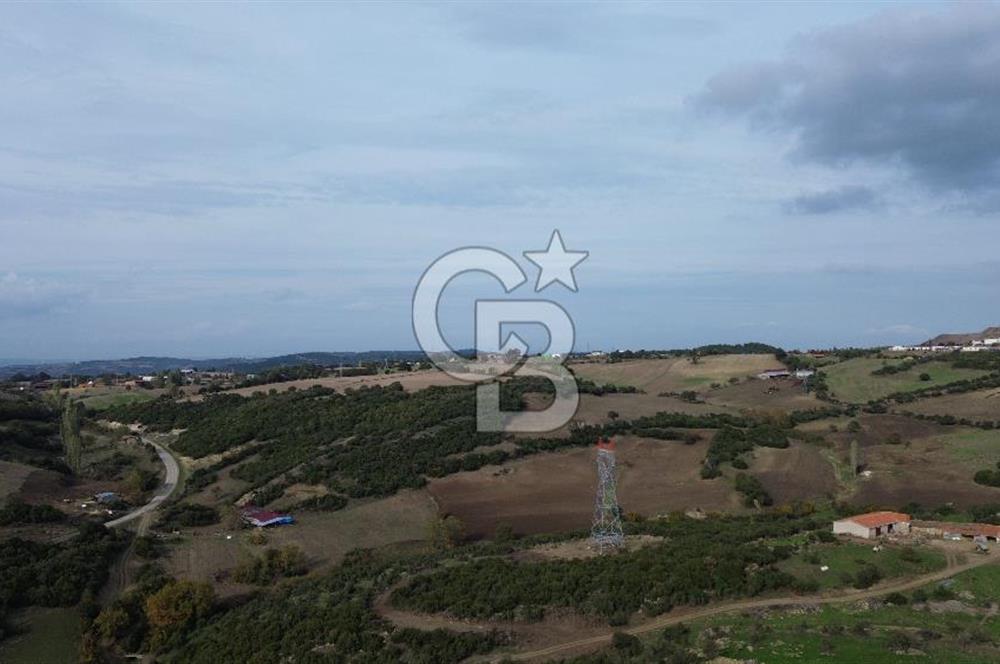 ÇANAKKALE LAPSEKİ ŞAHİNLİ KÖYÜNDE SATILIK TARLA