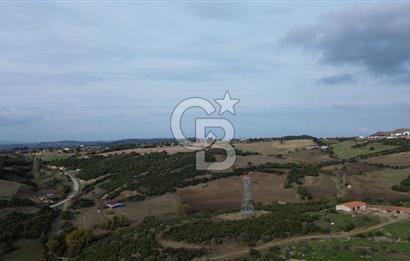 ÇANAKKALE LAPSEKİ ŞAHİNLİ KÖYÜNDE SATILIK TARLA