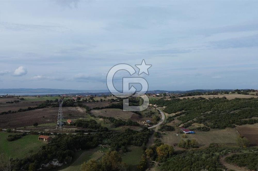 ÇANAKKALE LAPSEKİ ŞAHİNLİ KÖYÜNDE SATILIK TARLA