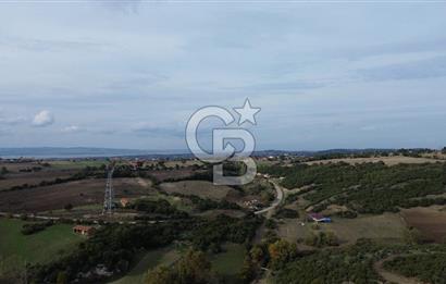 ÇANAKKALE LAPSEKİ ŞAHİNLİ KÖYÜNDE SATILIK TARLA