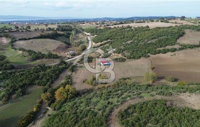 ÇANAKKALE LAPSEKİ ŞAHİNLİ KÖYÜNDE SATILIK TARLA