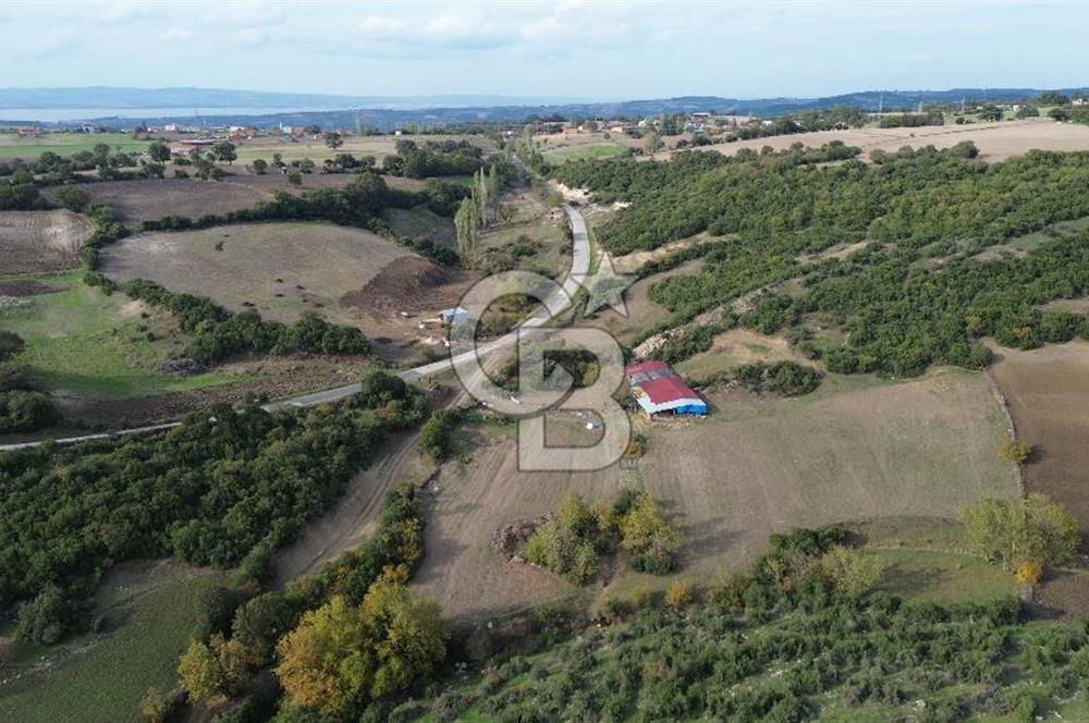 ÇANAKKALE LAPSEKİ ŞAHİNLİ KÖYÜNDE SATILIK TARLA