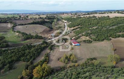 ÇANAKKALE LAPSEKİ ŞAHİNLİ KÖYÜNDE SATILIK TARLA