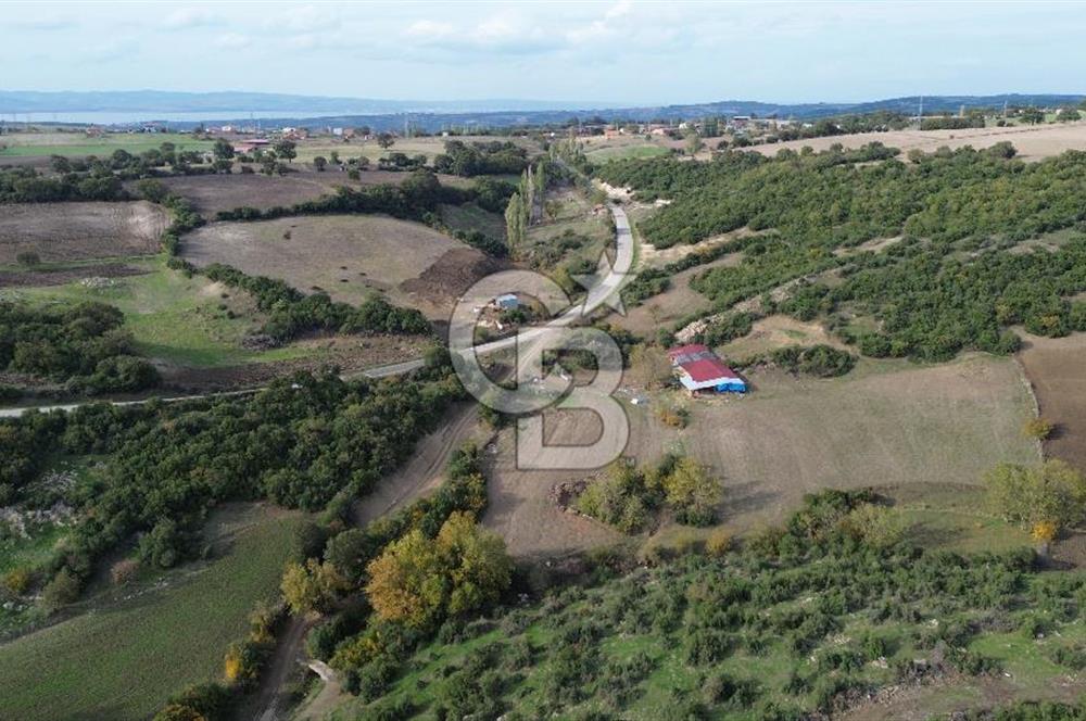 ÇANAKKALE LAPSEKİ ŞAHİNLİ KÖYÜNDE SATILIK TARLA