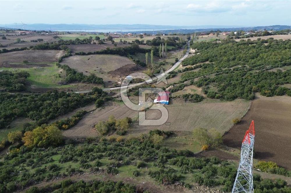 ÇANAKKALE LAPSEKİ ŞAHİNLİ KÖYÜNDE SATILIK TARLA