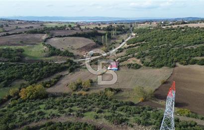 ÇANAKKALE LAPSEKİ ŞAHİNLİ KÖYÜNDE SATILIK TARLA