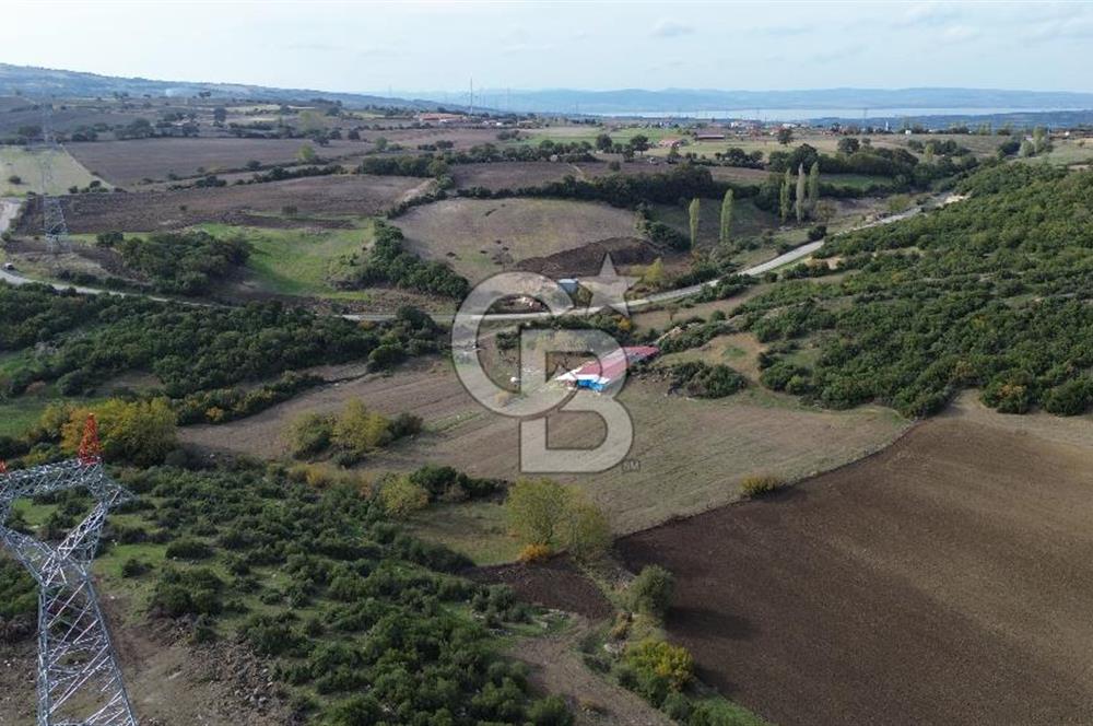 ÇANAKKALE LAPSEKİ ŞAHİNLİ KÖYÜNDE SATILIK TARLA