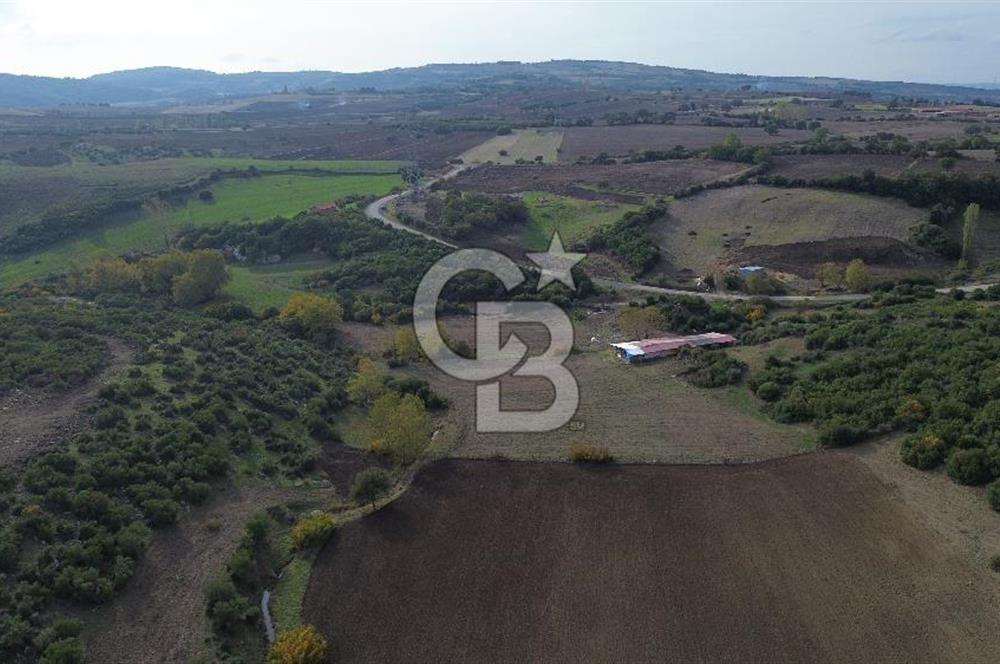 ÇANAKKALE LAPSEKİ ŞAHİNLİ KÖYÜNDE SATILIK TARLA