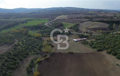 ÇANAKKALE LAPSEKİ ŞAHİNLİ KÖYÜNDE SATILIK TARLA