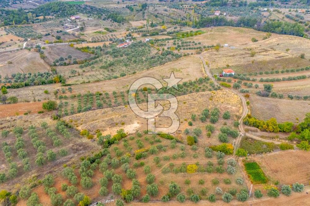 CB MARİNA'DAN KADIKÖY'DE TİNY HOUSE YAPIMINA UYGUN SATILIK TARLA