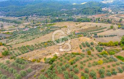 CB MARİNA'DAN KADIKÖY'DE TİNY HOUSE YAPIMINA UYGUN SATILIK TARLA