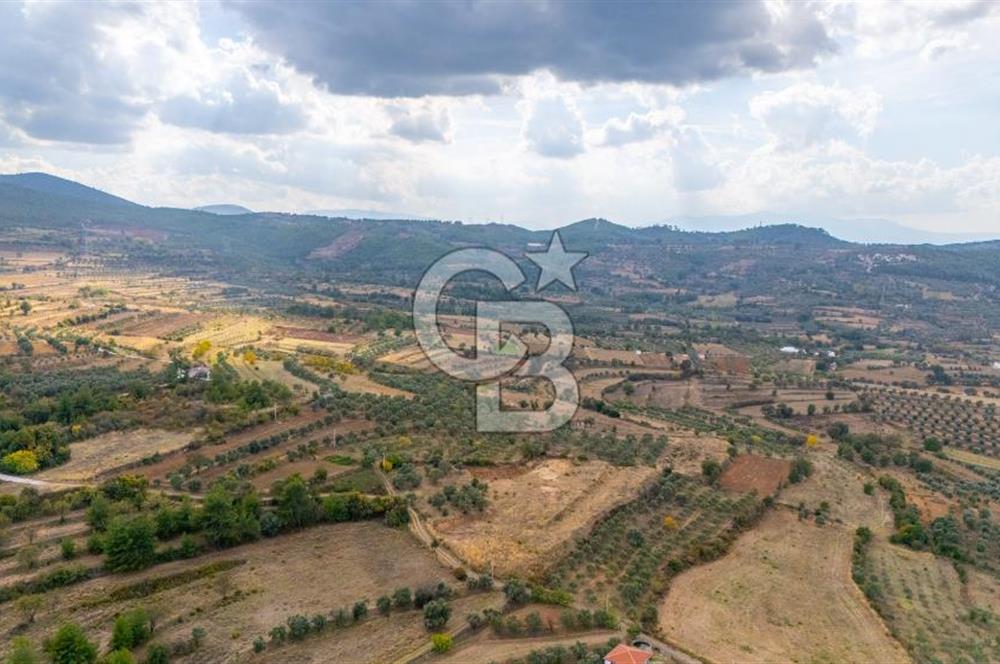 CB MARİNA'DAN KADIKÖY'DE TİNY HOUSE YAPIMINA UYGUN SATILIK TARLA