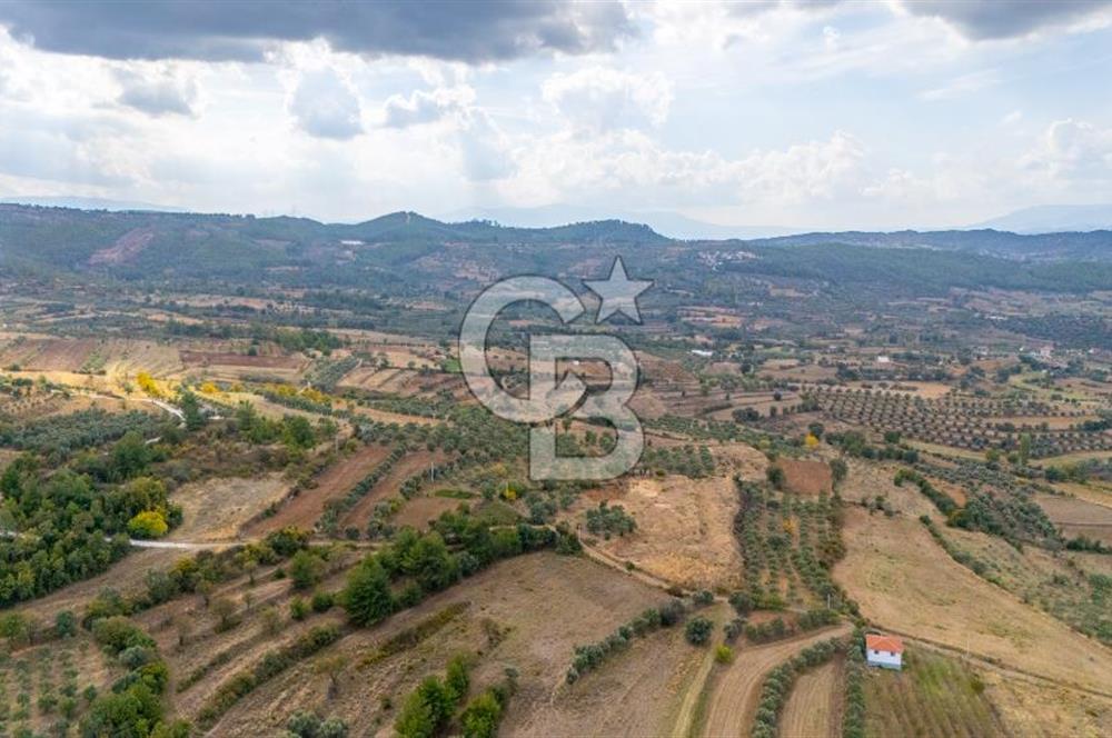CB MARİNA'DAN KADIKÖY'DE TİNY HOUSE YAPIMINA UYGUN SATILIK TARLA