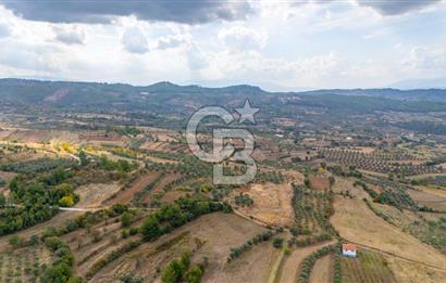CB MARİNA'DAN KADIKÖY'DE TİNY HOUSE YAPIMINA UYGUN SATILIK TARLA