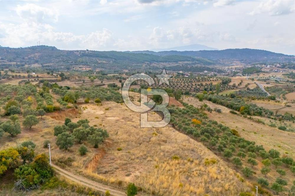 CB MARİNA'DAN KADIKÖY'DE TİNY HOUSE YAPIMINA UYGUN SATILIK TARLA