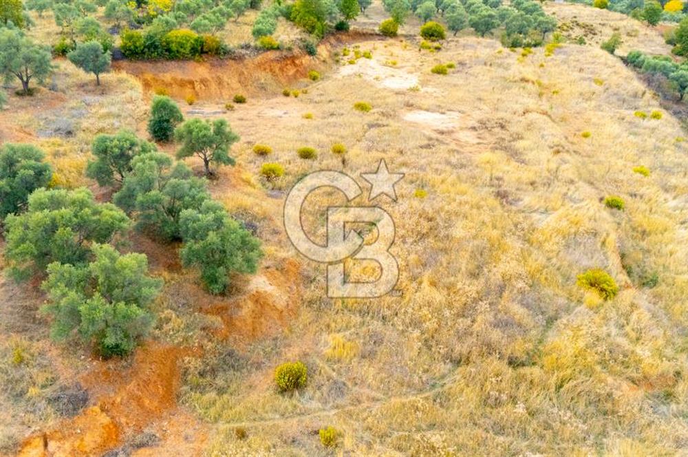 CB MARİNA'DAN KADIKÖY'DE TİNY HOUSE YAPIMINA UYGUN SATILIK TARLA