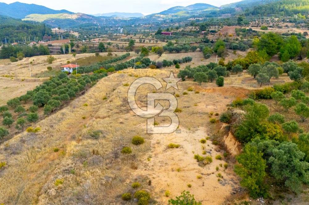 CB MARİNA'DAN KADIKÖY'DE TİNY HOUSE YAPIMINA UYGUN SATILIK TARLA
