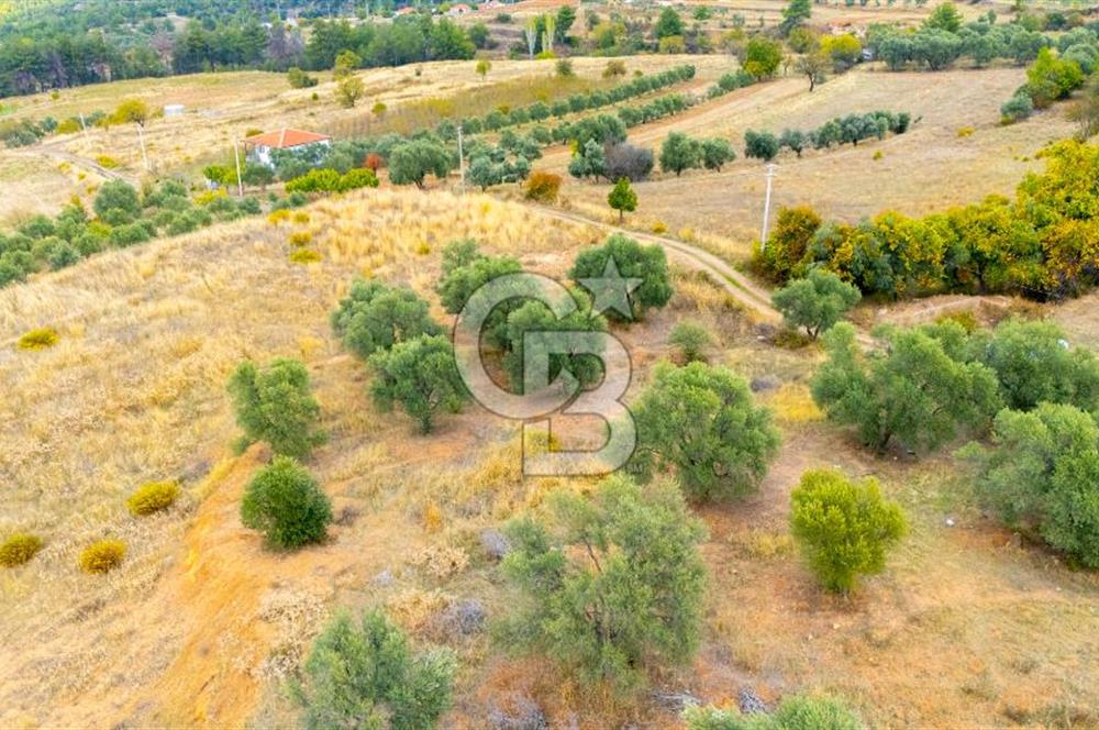 CB MARİNA'DAN KADIKÖY'DE TİNY HOUSE YAPIMINA UYGUN SATILIK TARLA