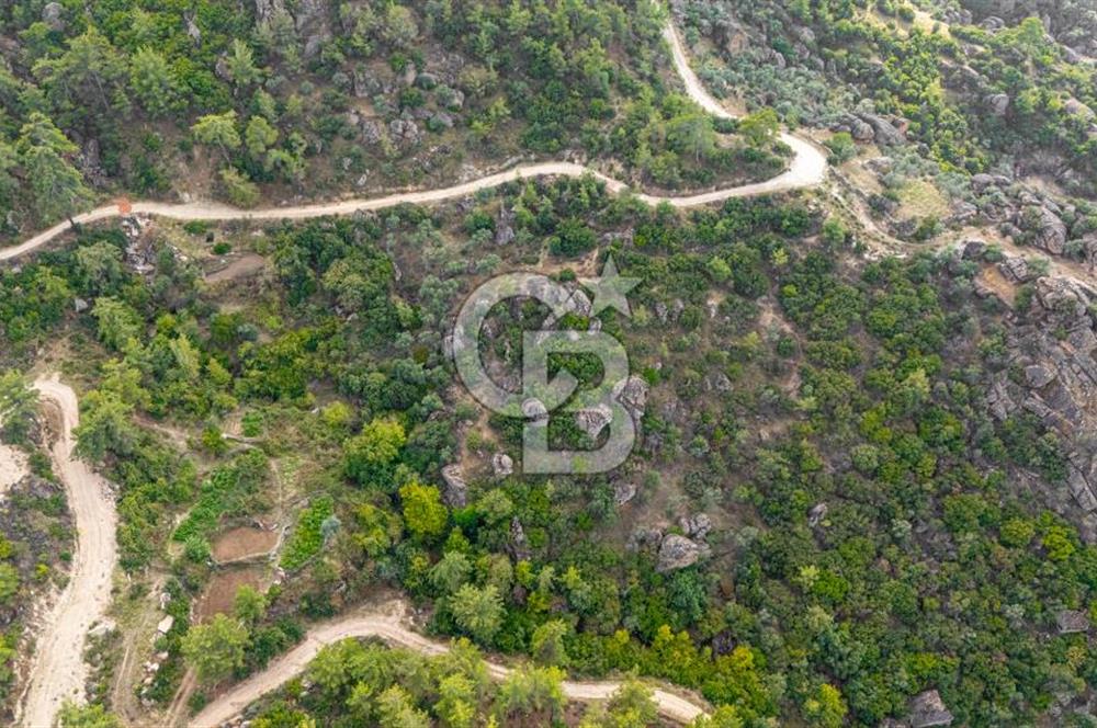 CB MARİNA'DAN İNCEKEMER'DE YATIRIMLIK SATILIK ZEYTİNLİK