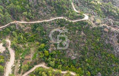 CB MARİNA'DAN İNCEKEMER'DE YATIRIMLIK SATILIK ZEYTİNLİK