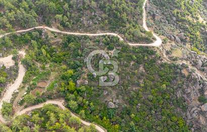 CB MARİNA'DAN İNCEKEMER'DE YATIRIMLIK SATILIK ZEYTİNLİK