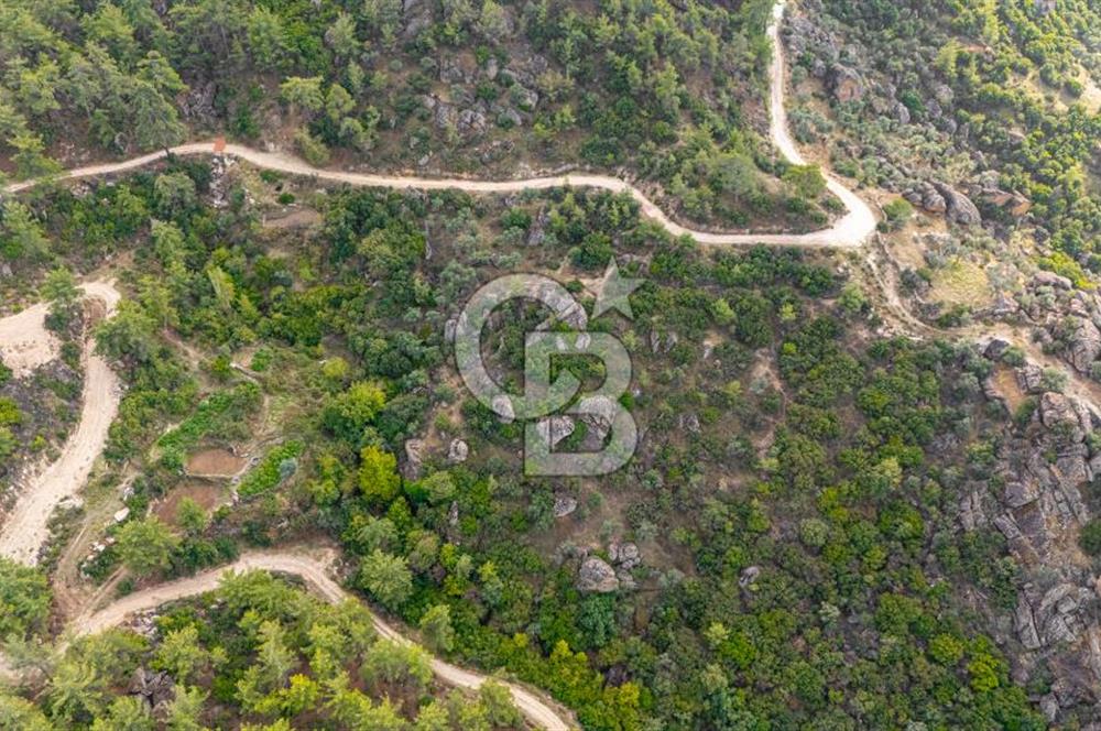 CB MARİNA'DAN İNCEKEMER'DE YATIRIMLIK SATILIK ZEYTİNLİK