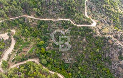 CB MARİNA'DAN İNCEKEMER'DE YATIRIMLIK SATILIK ZEYTİNLİK