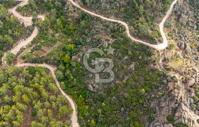 CB MARİNA'DAN İNCEKEMER'DE YATIRIMLIK SATILIK ZEYTİNLİK