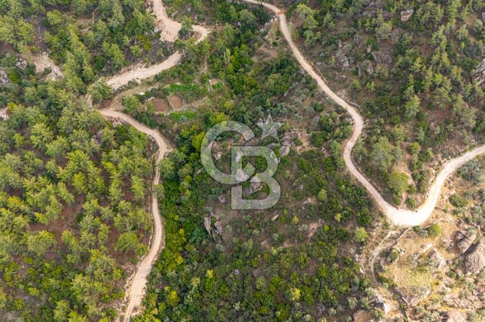 CB MARİNA'DAN İNCEKEMER'DE YATIRIMLIK SATILIK ZEYTİNLİK