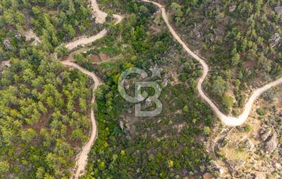 CB MARİNA'DAN İNCEKEMER'DE YATIRIMLIK SATILIK ZEYTİNLİK