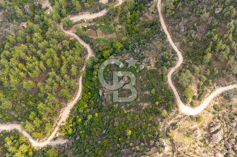 CB MARİNA'DAN İNCEKEMER'DE YATIRIMLIK SATILIK ZEYTİNLİK