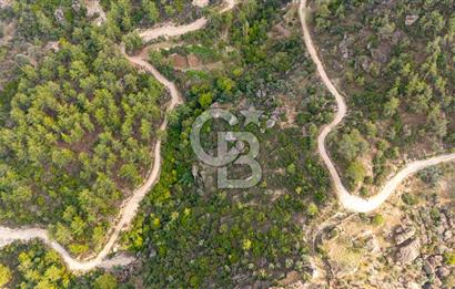 CB MARİNA'DAN İNCEKEMER'DE YATIRIMLIK SATILIK ZEYTİNLİK