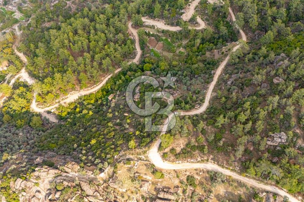 CB MARİNA'DAN İNCEKEMER'DE YATIRIMLIK SATILIK ZEYTİNLİK