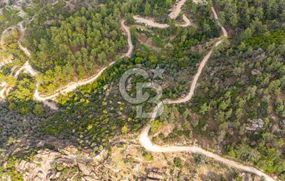 CB MARİNA'DAN İNCEKEMER'DE YATIRIMLIK SATILIK ZEYTİNLİK