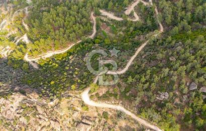 CB MARİNA'DAN İNCEKEMER'DE YATIRIMLIK SATILIK ZEYTİNLİK