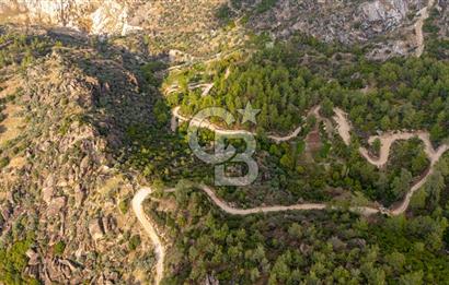 CB MARİNA'DAN İNCEKEMER'DE YATIRIMLIK SATILIK ZEYTİNLİK