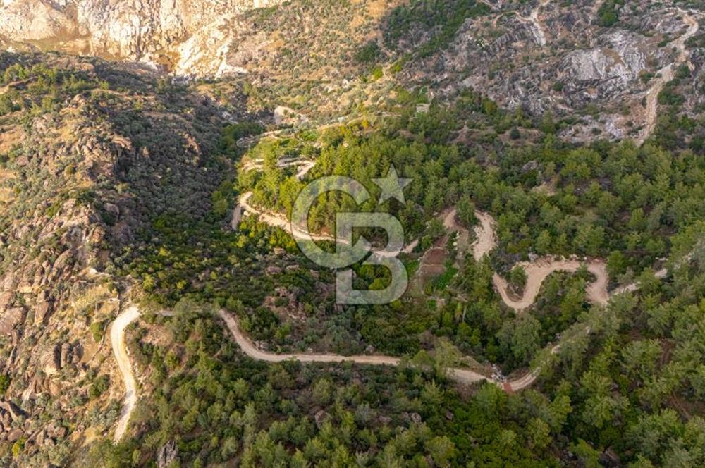 CB MARİNA'DAN İNCEKEMER'DE YATIRIMLIK SATILIK ZEYTİNLİK