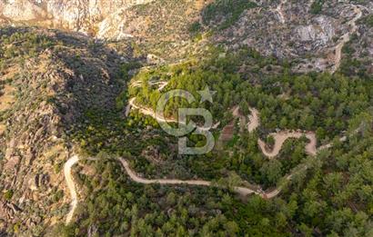 CB MARİNA'DAN İNCEKEMER'DE YATIRIMLIK SATILIK ZEYTİNLİK