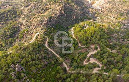 CB MARİNA'DAN İNCEKEMER'DE YATIRIMLIK SATILIK ZEYTİNLİK