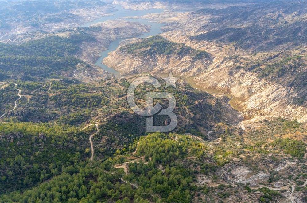 CB MARİNA'DAN İNCEKEMER'DE YATIRIMLIK SATILIK ZEYTİNLİK