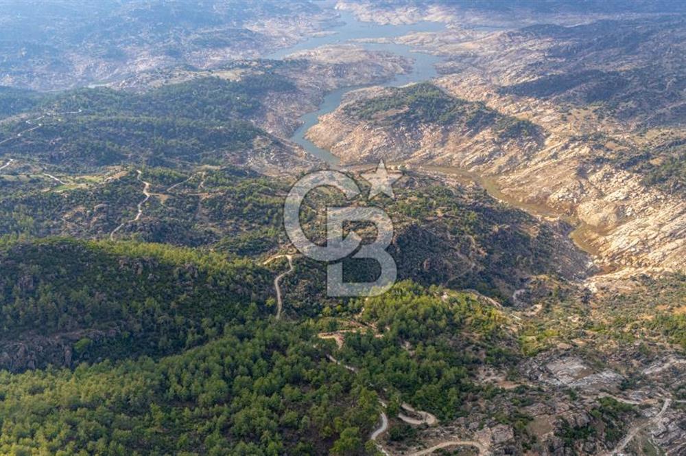 CB MARİNA'DAN İNCEKEMER'DE YATIRIMLIK SATILIK ZEYTİNLİK