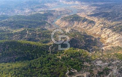 CB MARİNA'DAN İNCEKEMER'DE YATIRIMLIK SATILIK ZEYTİNLİK