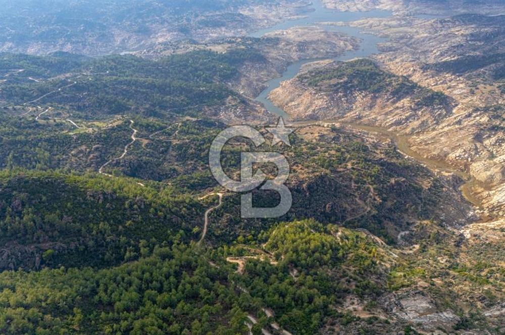 CB MARİNA'DAN İNCEKEMER'DE YATIRIMLIK SATILIK ZEYTİNLİK